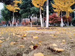 -江南大学(蠡湖校区)