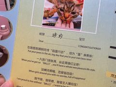 -艾贝尔宠物医院·24H转诊中心·肿瘤猫专科(江宁双龙店)
