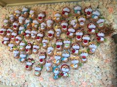 -柴犬高等学院·狗咖·柴犬售卖·宠物训练