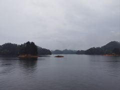 -浔味·山屿湖·正宗淳牌全鱼宴老字号
