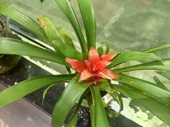 -天和晟烤鸭店(玉泉西街店)