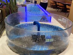 -享遇.锅姥姥牛排海鲜自助(小寨店)