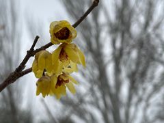 -丰台花园