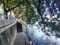 -长洲岛