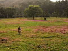 -福建鲤鱼洲酒店