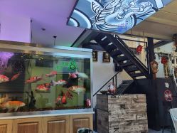 -雕哥的纹身店A3 TATTOO&纹身培训
