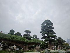 -陈村花卉小镇-花卉世界