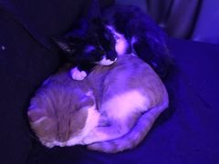 -星宿秘码(鼓浪屿老店)