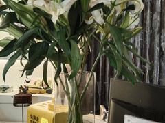 -Dragonfly悠庭·按摩Spa(浦东嘉里城店)