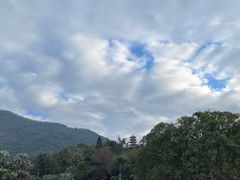 -深圳仙湖植物园