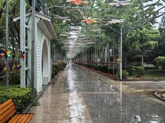 -南宫五洲植物乐园