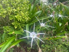 -东寨港红树林旅游区