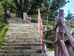 -牛背梁国家森林公园