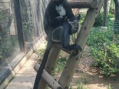 -石家庄市动物园