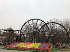 -呀路古热带植物园