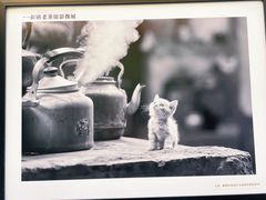 -星巴克臻选(成都宽窄巷子店)