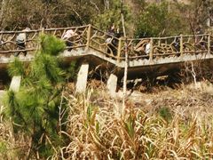 -天台山琼台仙谷景区
