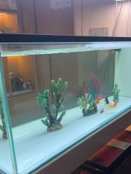 -香港倾城国际·美容美体中心