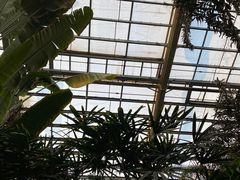-龙达温泉生态城