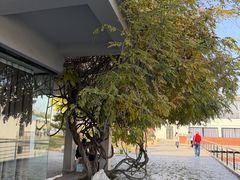 -石家庄市植物园