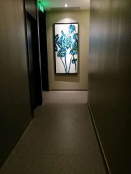 -奈瑞儿美颜美养SPA