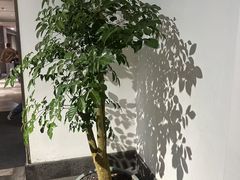 -紫腾大院·南京菜(江宁店)