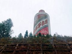 -亮欢寨快活林 酸汤鱼(仁怀店)
