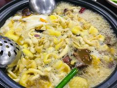 -菌之家·专业纯野生菌火锅·特色炒菌