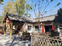 -合肥滨湖国家森林公园