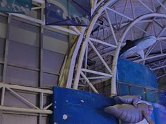 -烟台海昌鲸鲨海洋公园