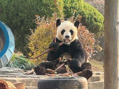 -大连森林动物园