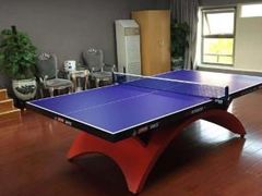 -火星羽毛球游泳乒乓球网球篮球台球滑板轮滑(踏水桥北街店)