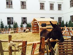 -布拉迪斯拉发城堡