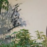 一盏暖灯静候光临