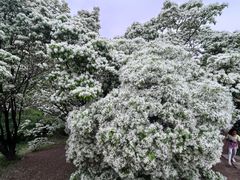 -国家植物园南园