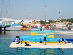 -秦皇岛乐岛海洋王国