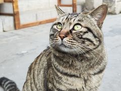 -正阳书局(西四南大街店)