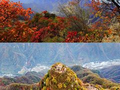 -秦岭风景区