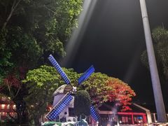 -荷兰红屋