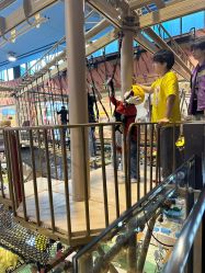 -卡通尼·Safari非洲探索乐园·生日会(金桥国际商业广场店)