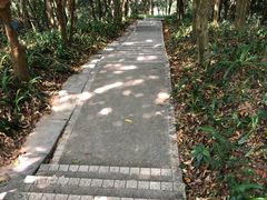 -广州市帽峰山景区