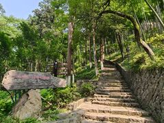 -莫干山风景区