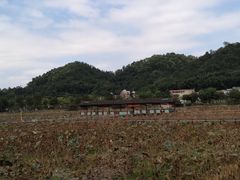 -红山村