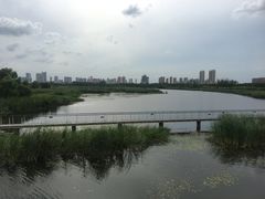 -哈尔滨大剧院