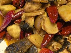 -印象鲵宴·张家界地标美食名片(溪布街店)