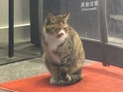 -三百碗宝应长鱼面(板仓街店)