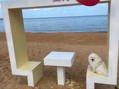 -金海滩海水浴场