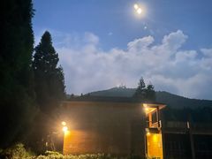 -武陵山森林公园