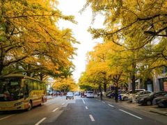 -辽东学院(南校区)