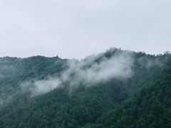 -柞水乾佑红门家菜